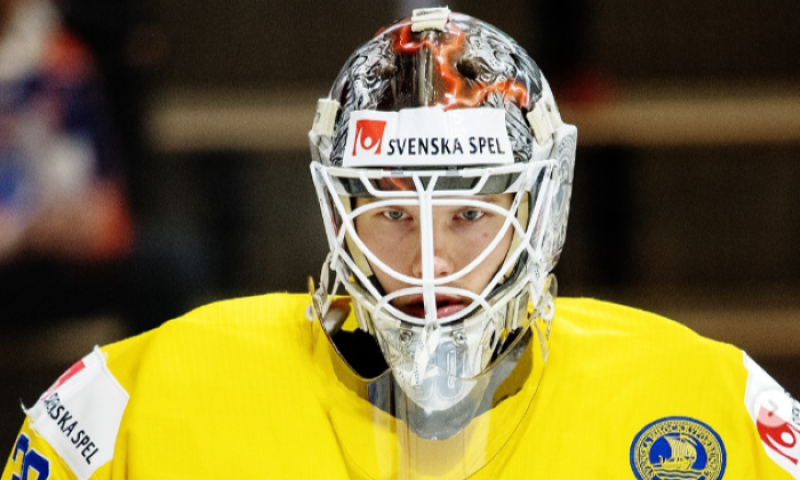 Švédové zbrojí na světový šampionát. V Brně se při generálce hlásí třináct posil z NHL