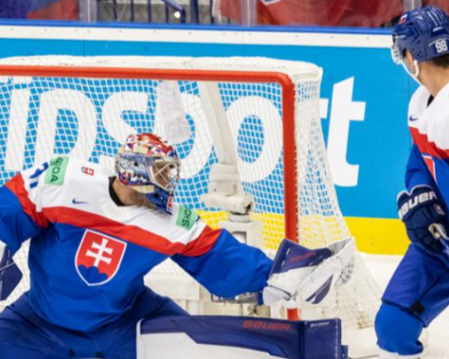 Slováci překvapili favorita. Musíme si ale rozebrat třetí třetinu, soudí