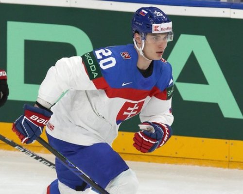 Už v roce 2016 jsem byl jeho velkým fanouškem, uvedl Slafkovský na adresu nové posily Canadiens