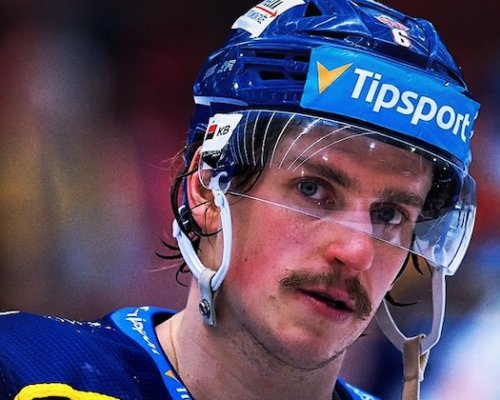 Chemici půjdou do sezony s 15 útočníky. Tím posledním se stal Vopelka, jenž nabízí univerzálnost a pracovitost