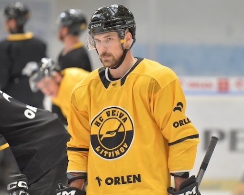 Porovnávat českou extraligu s AHL by bylo dost úsměvné, tvrdí nová litvínovská tvář ze Slovenska