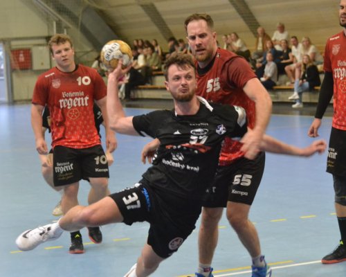 Strakonice díky podpoře hejtmana Kuby zůstanou v extralize. Přípravu odstartovaly na vítězné vlně