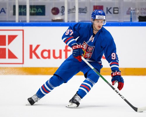 Dominik splňuje naše představy moderního, bruslivého obránce, říká Divíšek. Nová tvář posílí obranu Sparty