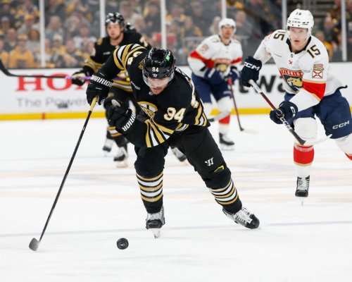 Lauko září v dresu Minnesoty! Po příchodu z Bostonu se prosadil dvakrát ve dvou zápasech za Wild