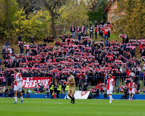 Muž zápasu? Trávníkář! Slavia si užila duel na hřišti outsidera