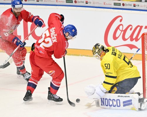 Sparta hlásí vysněnou posilu. Je to jeden z nejlepších centrů, uvedl na adresu nové posily sportovní ředitel Divíšek