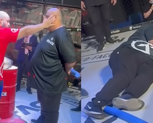 Facka jako fenomén. Red Face rozbíjí algoritmy a drtí konkurenci