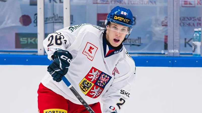 Ticháček a Galvas stále čekají. NHL se malým bekům vyhýbá, ale naděje žije