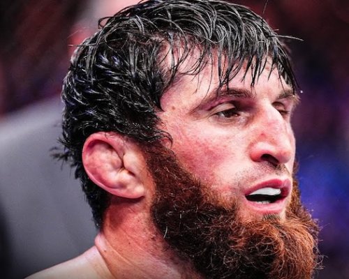 Legenda UFC brání Ankalaeva a rovnou by ho poslala do boje o pás s Ulbergem